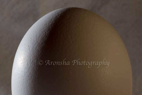 Kent Closeup Egg-1