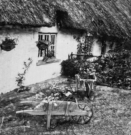 Adare wheelbarrow Ireland 2001-001
