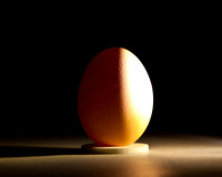 Egg lighting at 90 degrees