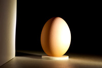 Egg lighting at 45 degrees