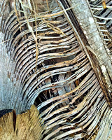 2011-11-26_12-29-16_HDR