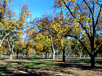 2011-11-25_10-37-14_HDR
